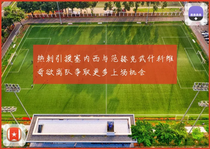 热刺引援塞内西与范赫克武什科维奇欲离队争取更多上场机会